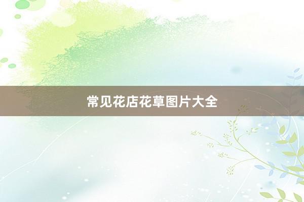 常见花店花草图片大全