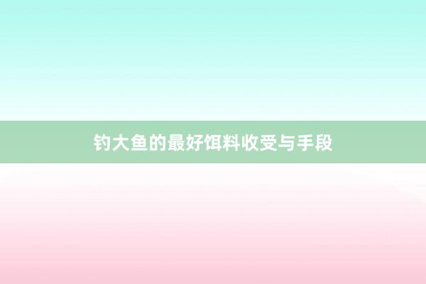钓大鱼的最好饵料收受与手段